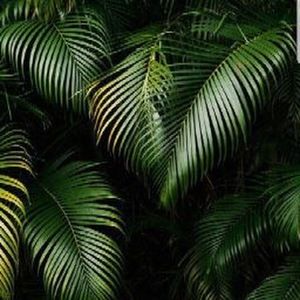 Meet your Posher, Danii